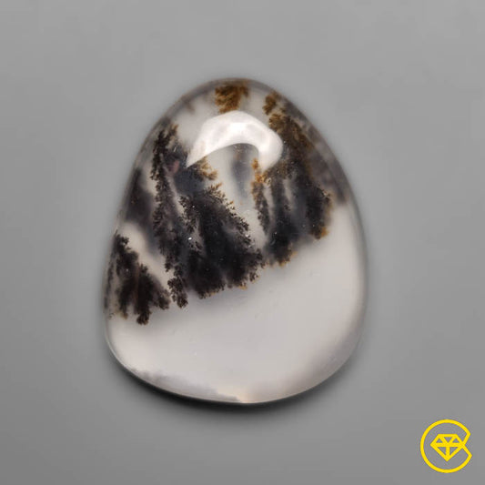 Scenic Agate