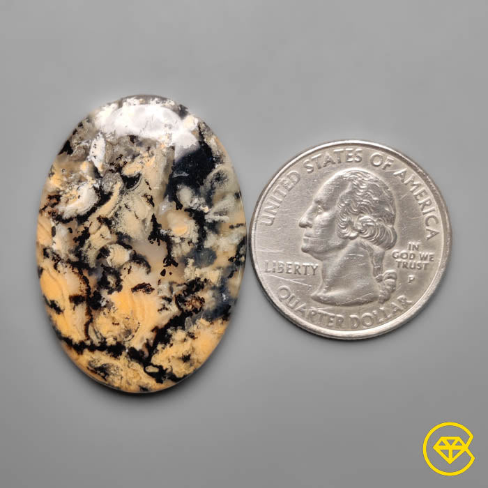 Dendritic Agate