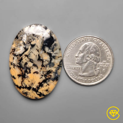Dendritic Agate