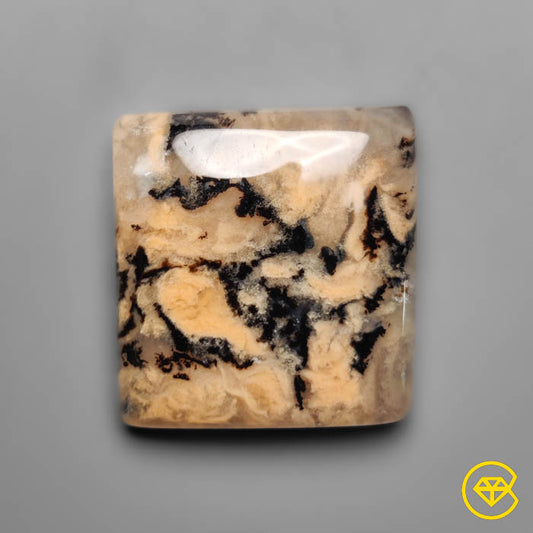 Dendritic Agate
