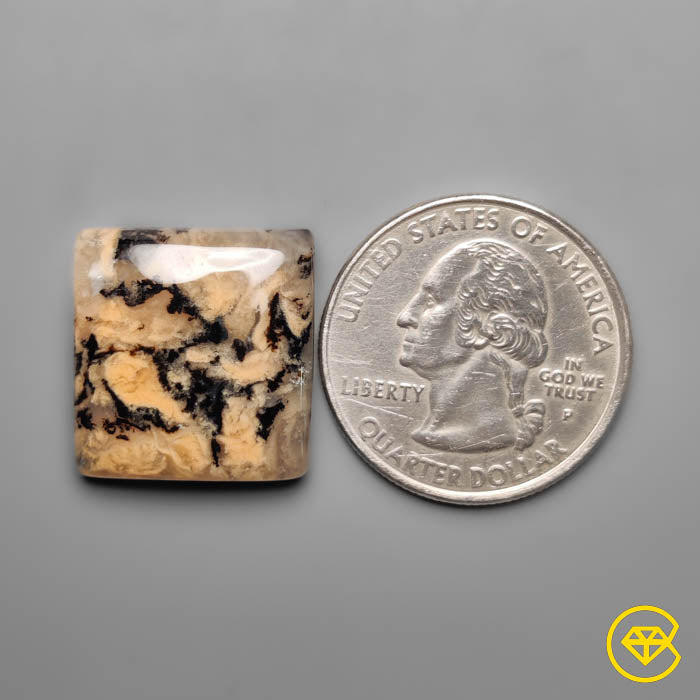 Dendritic Agate