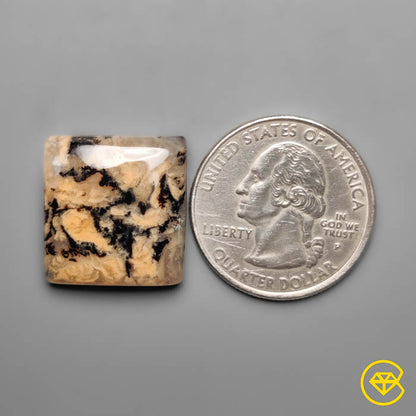 Dendritic Agate