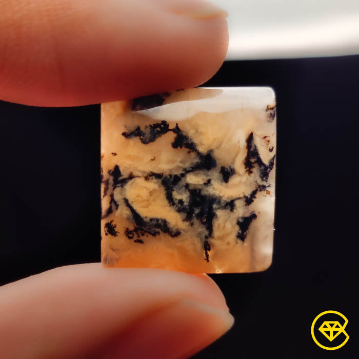 Dendritic Agate