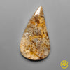 Plume Agate