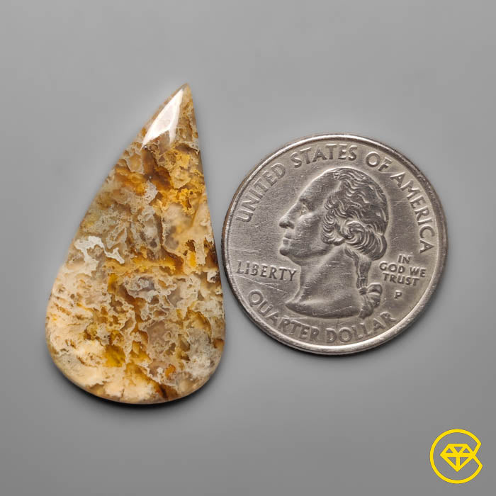 Plume Agate