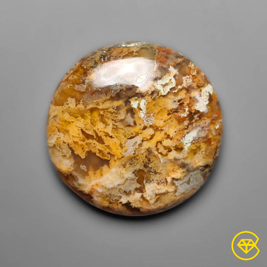 Plume Agate