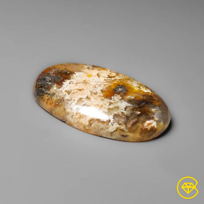 Plume Agate
