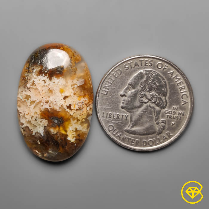 Plume Agate