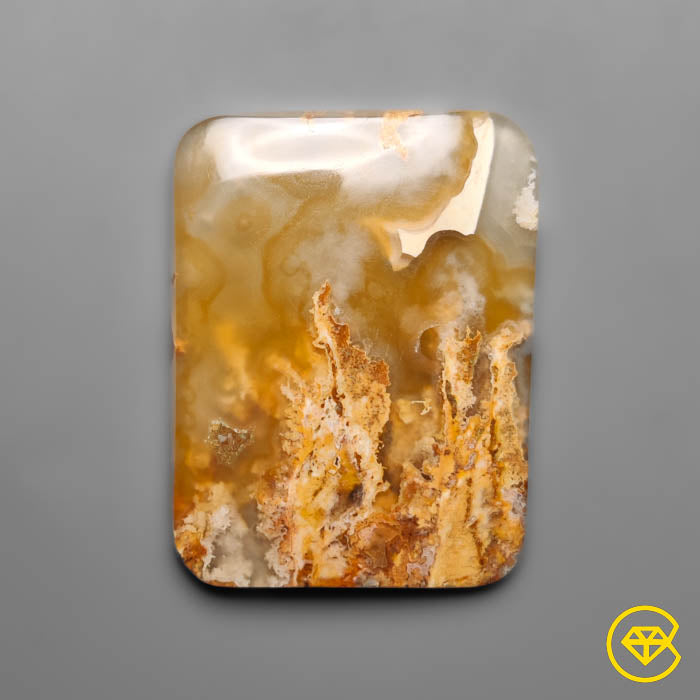Plume Agate