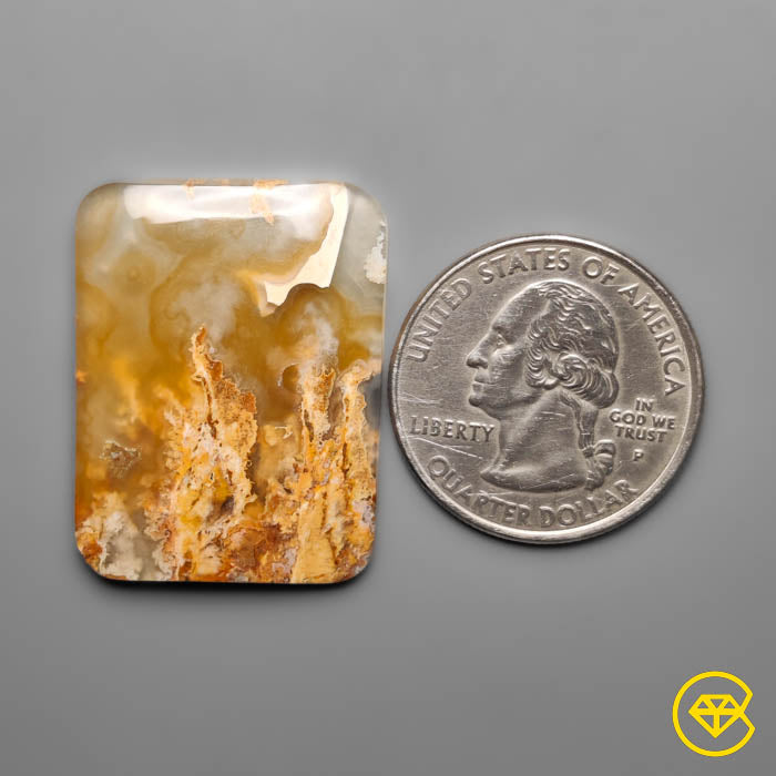 Plume Agate