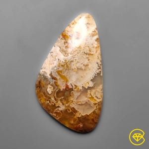 26 carat Graveyard Point Plume Agate Cabochon Natural 39X22X5 mm From USA