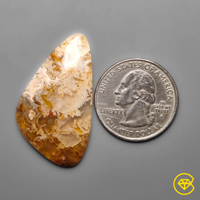 Plume Agate