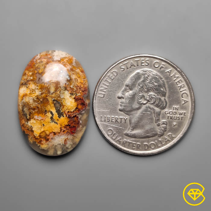 Plume Agate