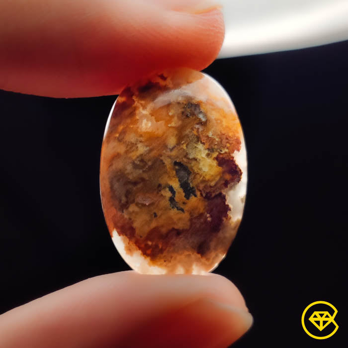 Plume Agate
