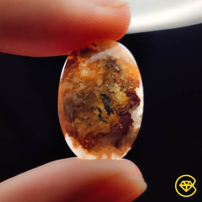 Plume Agate