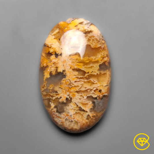 Plume Agate