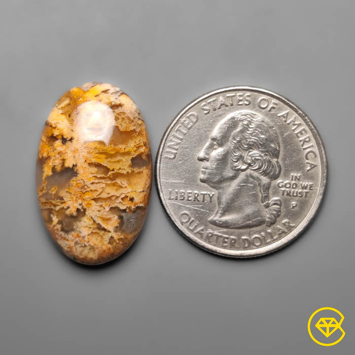 Plume Agate
