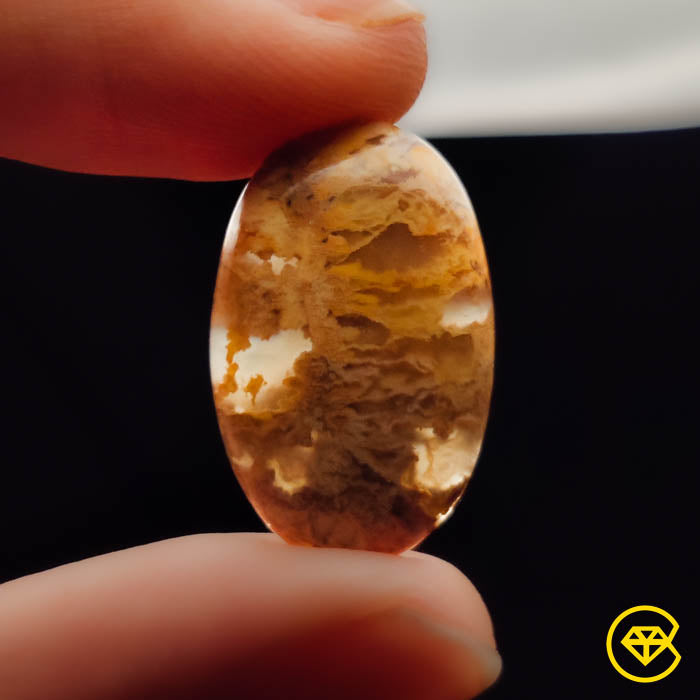 Plume Agate