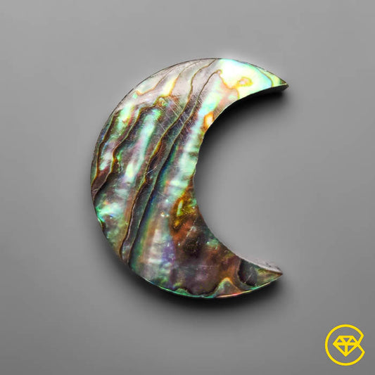 Abalone Shell