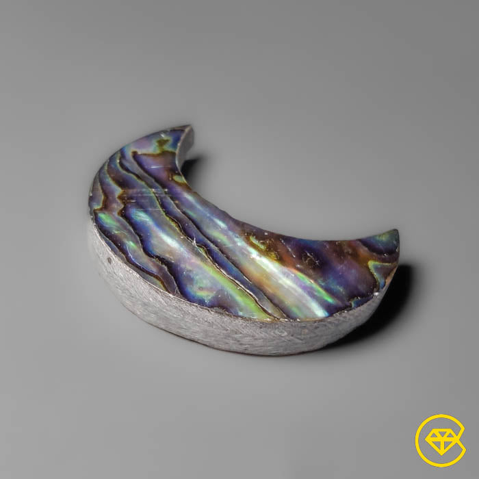Abalone Shell