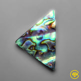 Abalone Shell