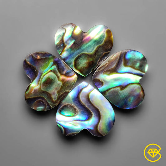 Abalone Shell