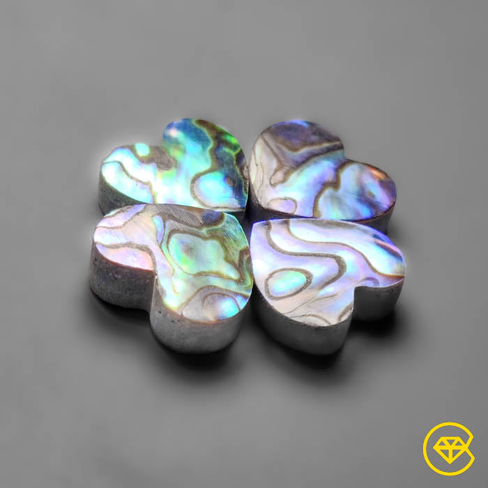Abalone Shell