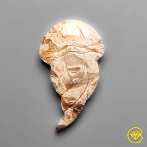 15 carat Indonesian Palmroot Jellyfish Carving Natural 29X17X5 mm From Indonesia