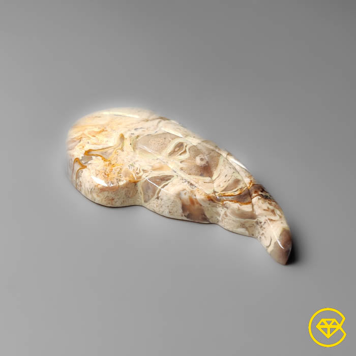 Palmroot Agate