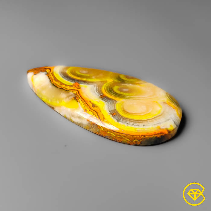 Bumble Bee Jasper