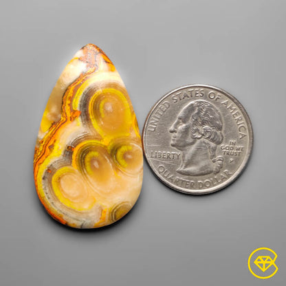 Bumble Bee Jasper
