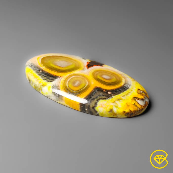 Bumble Bee Jasper