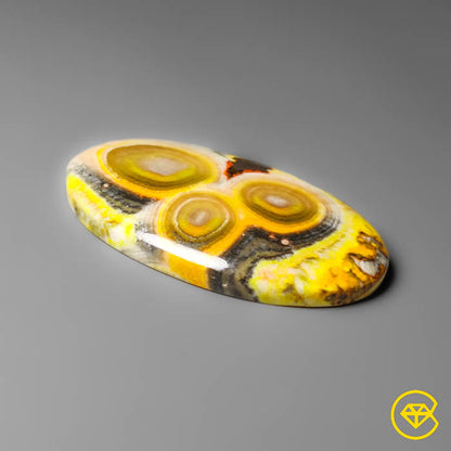 Bumble Bee Jasper