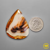 Montana Agate