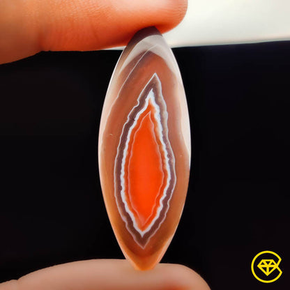Botswana Agate