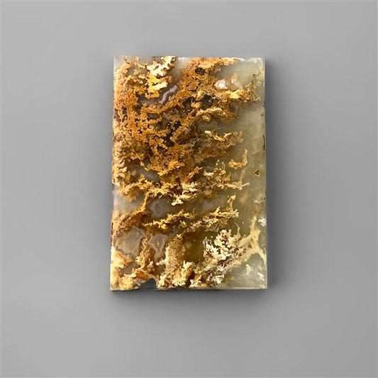 Agate|Plume Agate