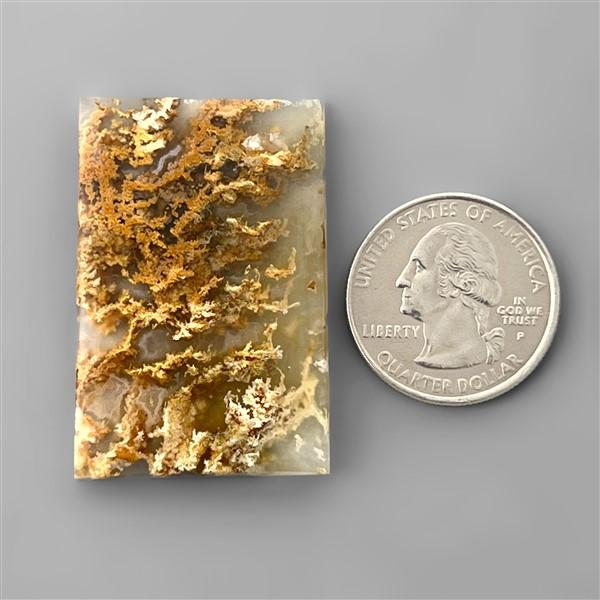 Agate|Plume Agate