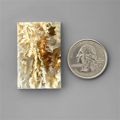 Agate|Plume Agate