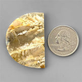 Agate|Plume Agate