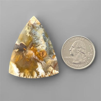 Agate|Plume Agate