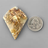 Agate|Plume Agate