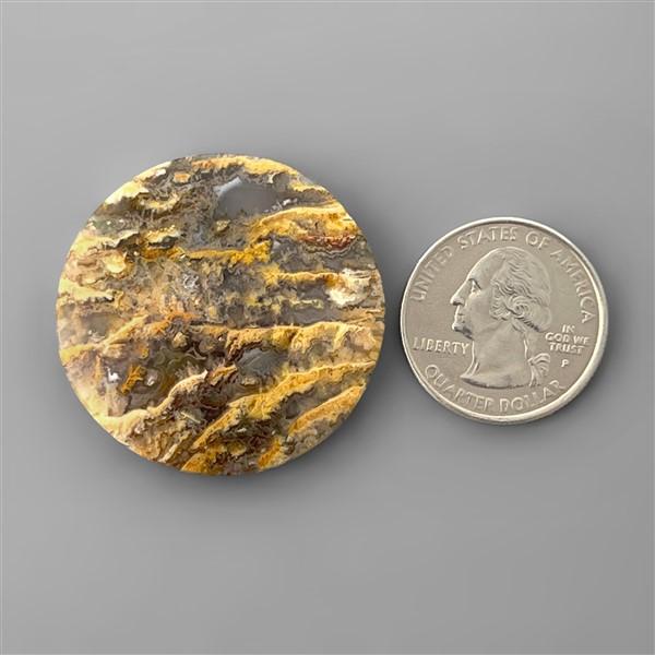 Agate|Plume Agate