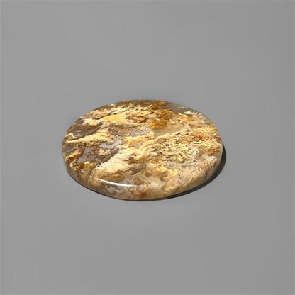 Agate|Plume Agate