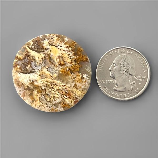 Agate|Plume Agate