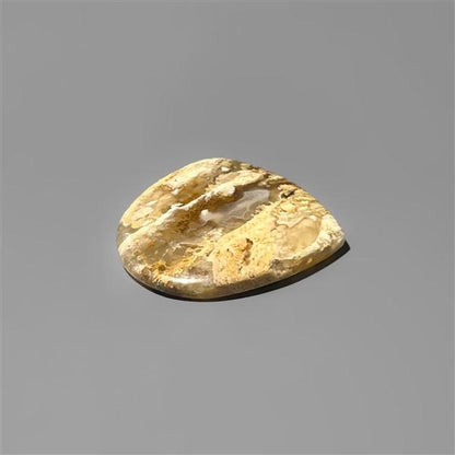 Agate|Plume Agate