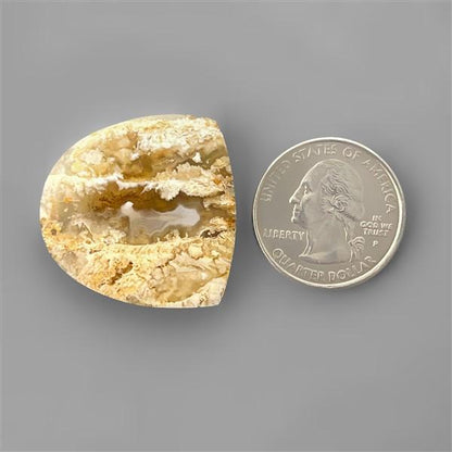 Agate|Plume Agate