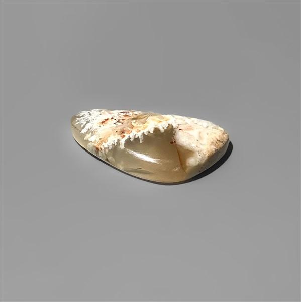 Agate|Plume Agate