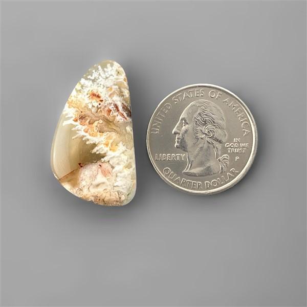 Agate|Plume Agate