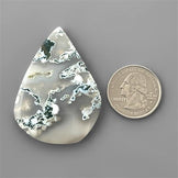Agate|Moss Agate|White Horse Canyon