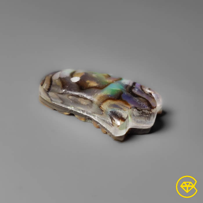 Abalone Shell,Quartz